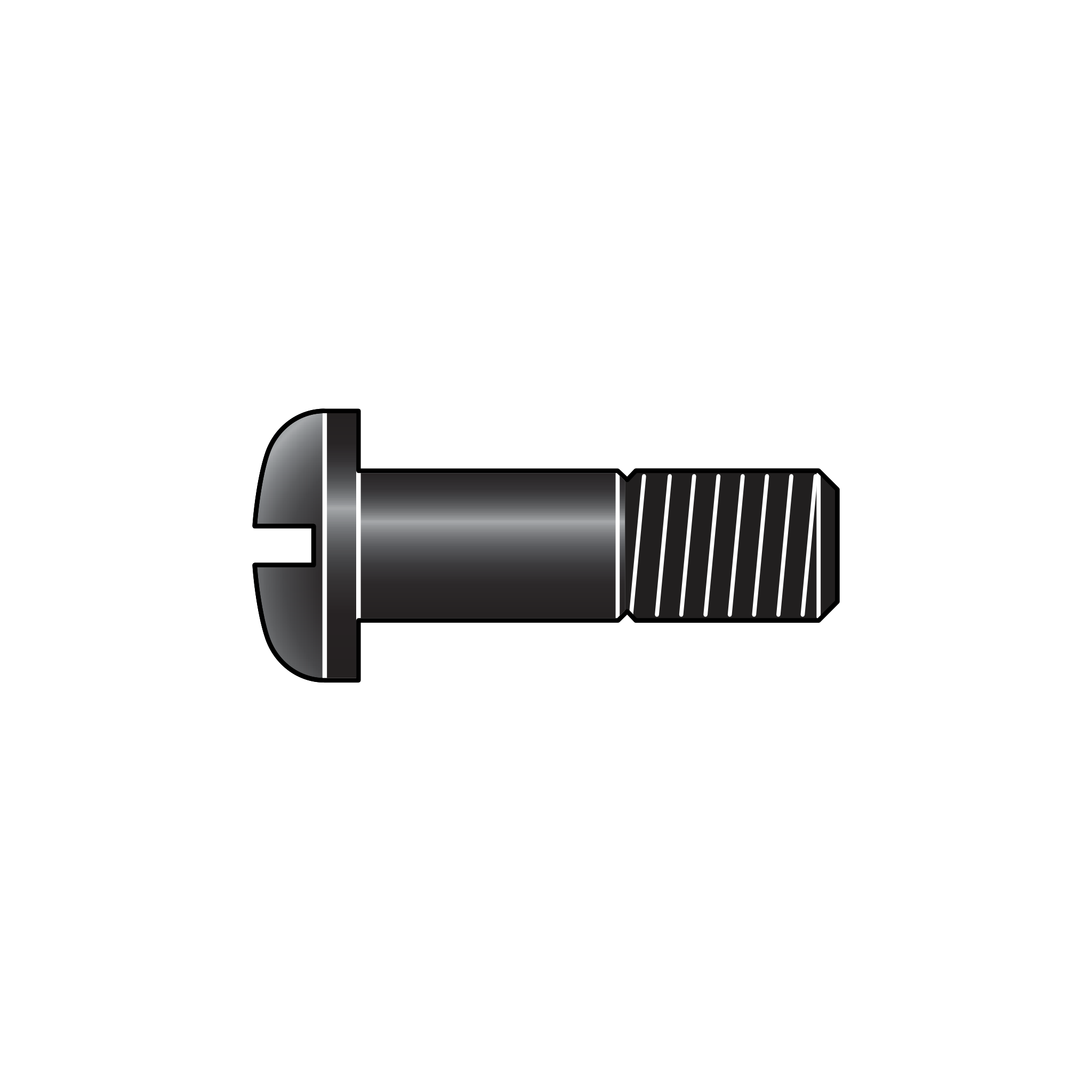 60/4 Screw - Product - Main View