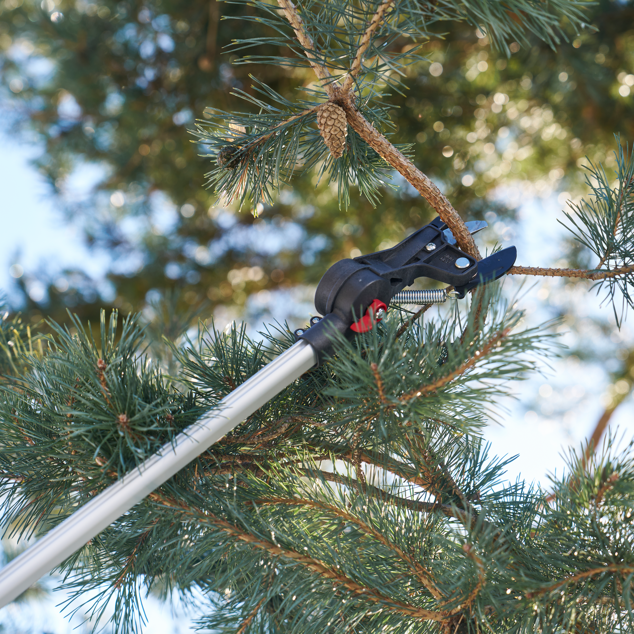 FELCO 290-4M Pole Pruner