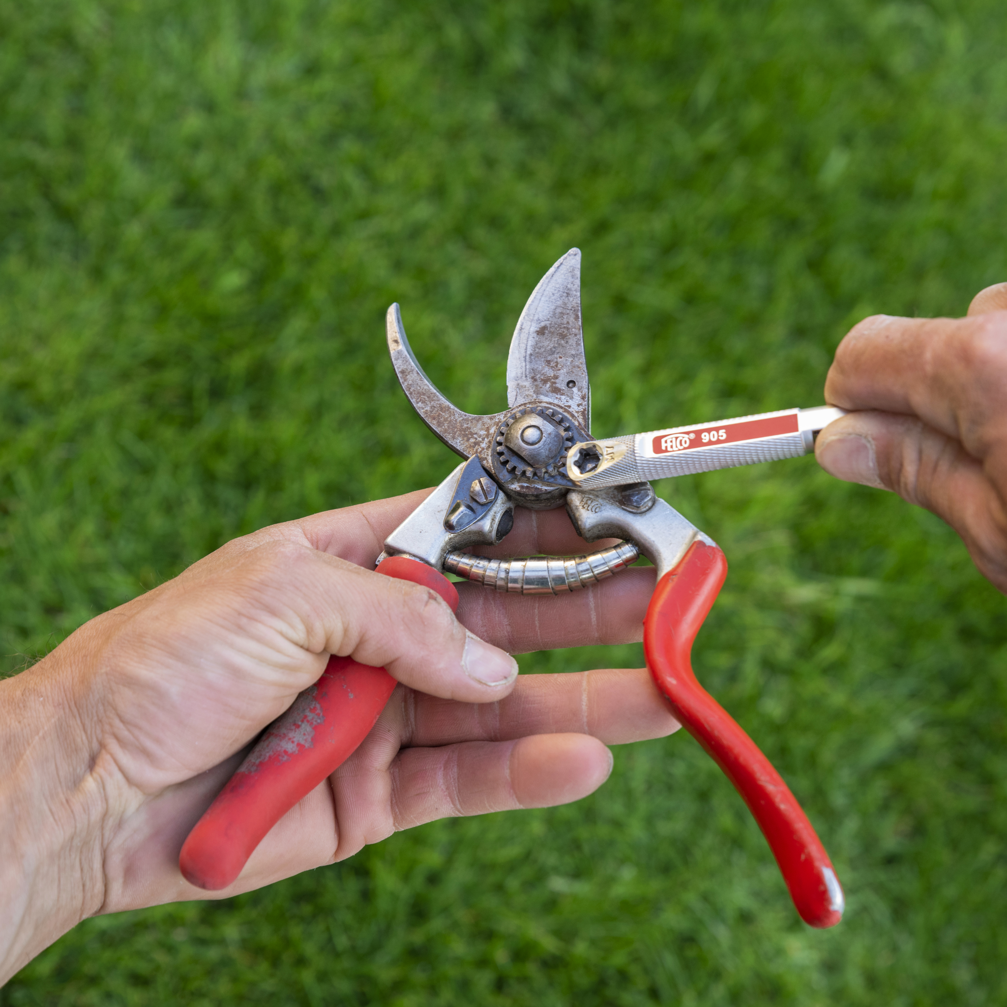 FELCO 905