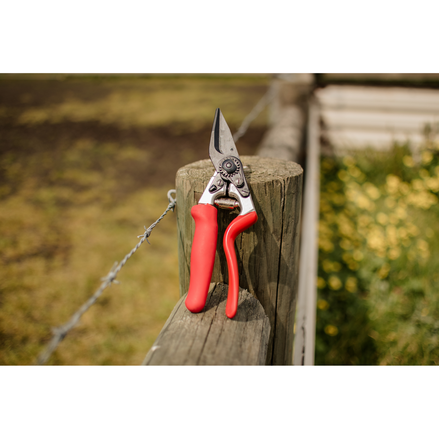 How to choose a pruner