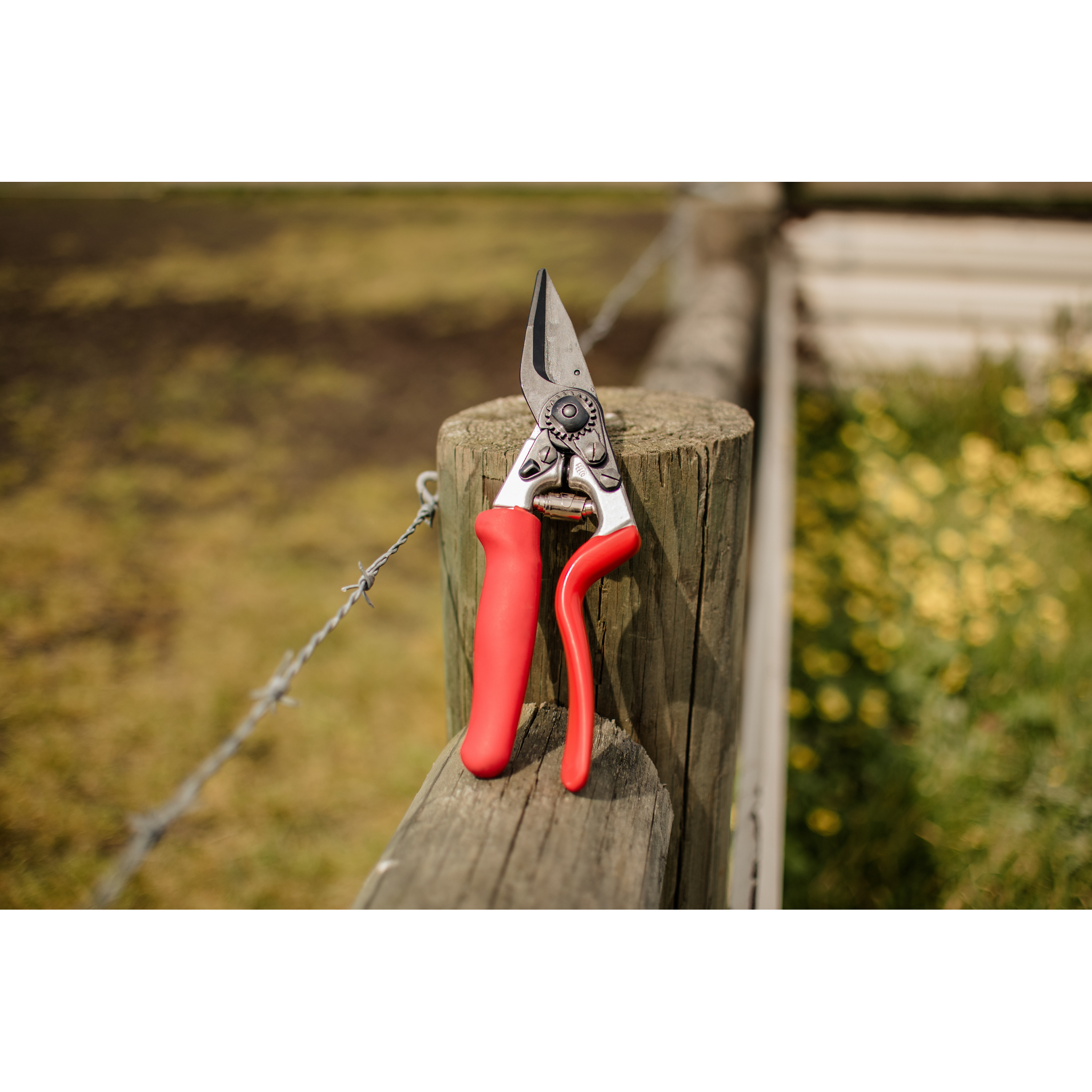 How to choose a pruner