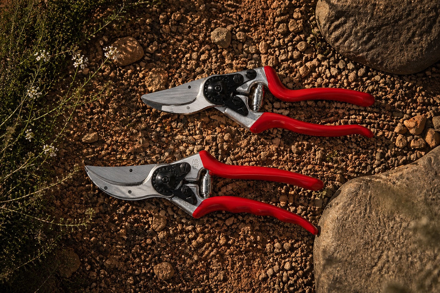 FELCO 2 vs 8: Which Pruner Should You Buy?