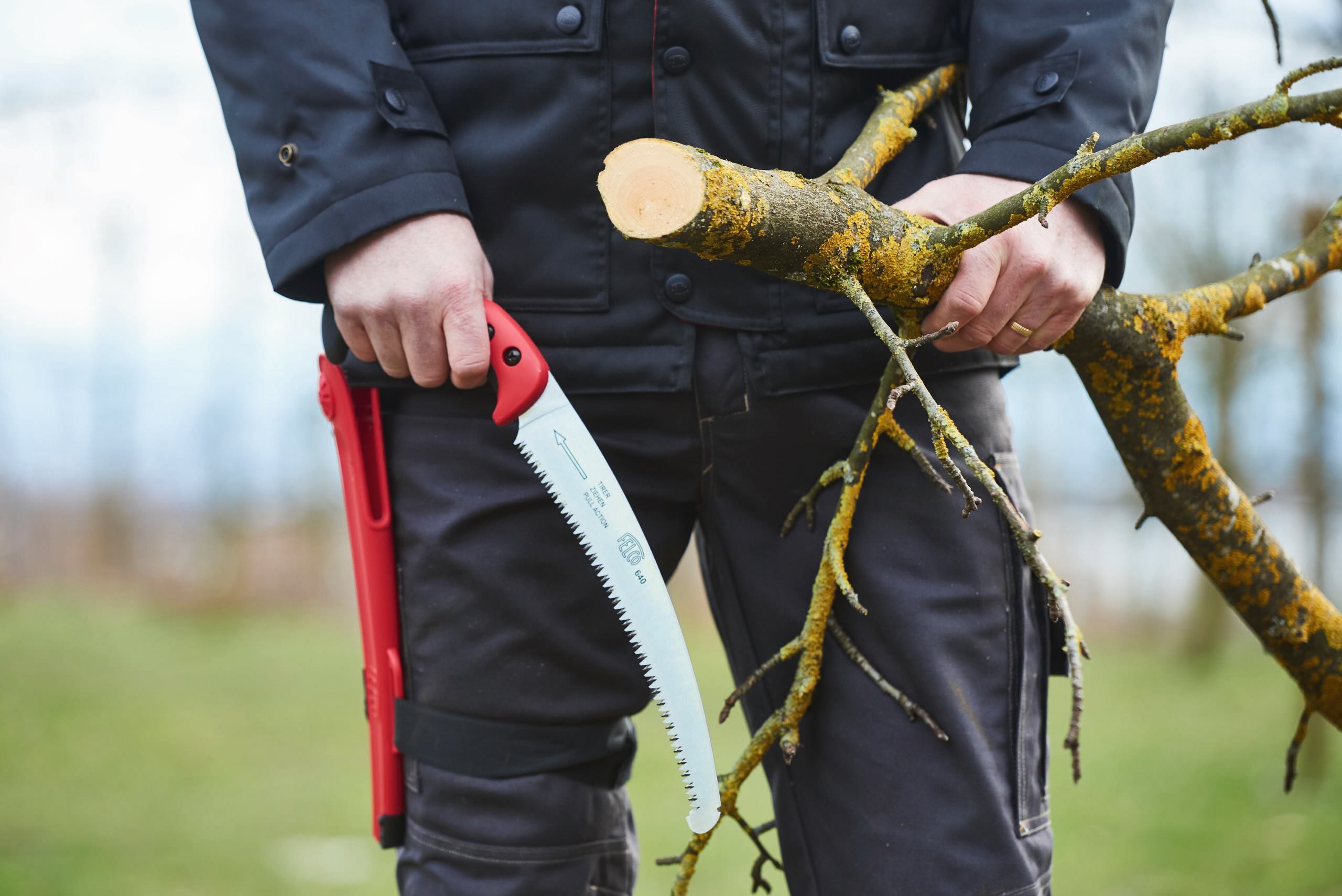 best pruning saws for gardeners
