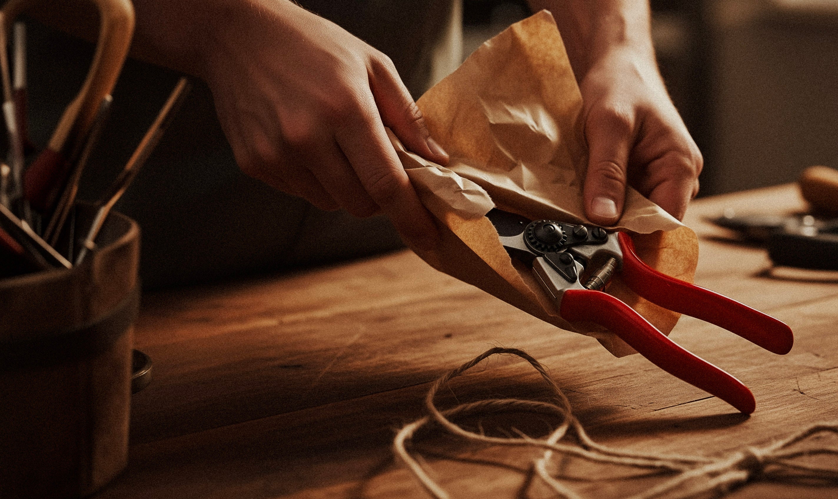 Best Gift Ideas for Gardeners (2025 Edition)