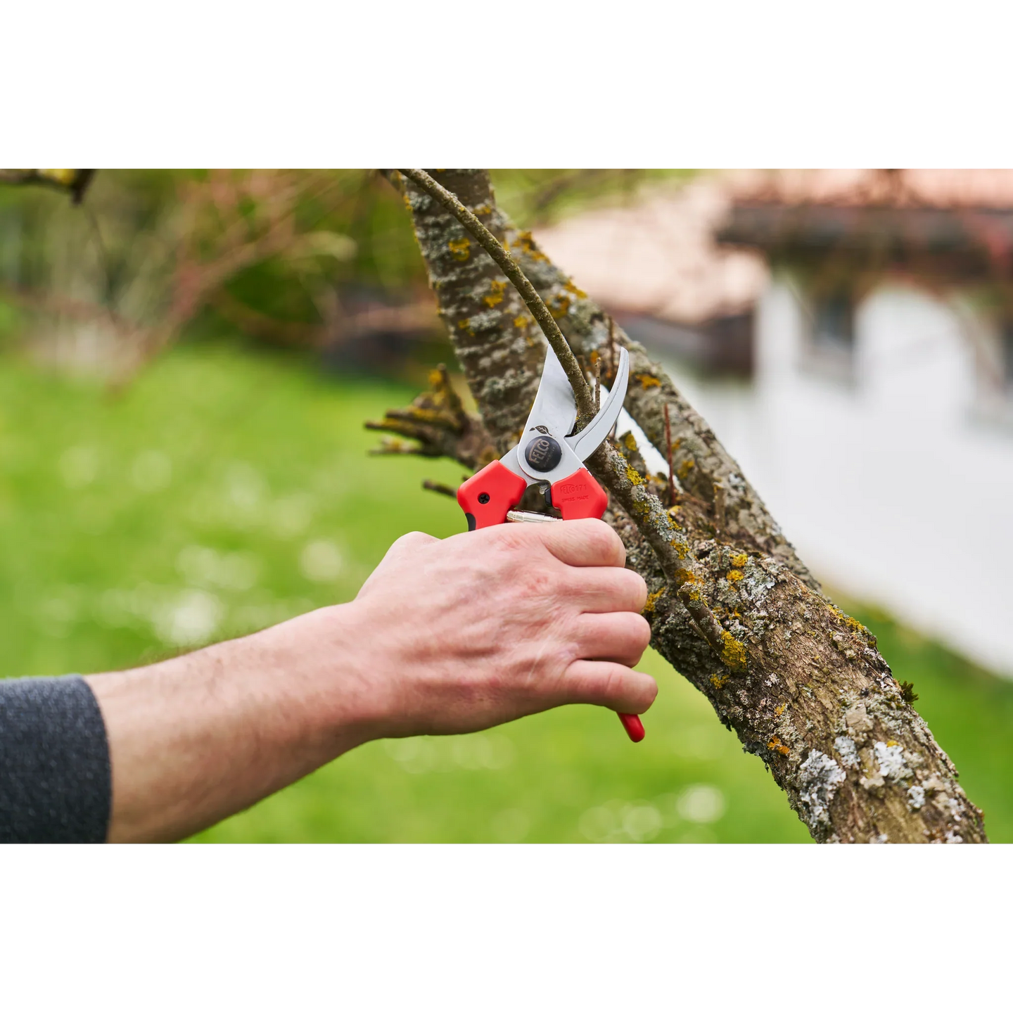 Pruning Shears for Large Hands
