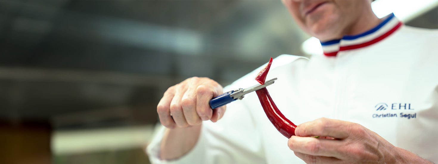 Culinary shears