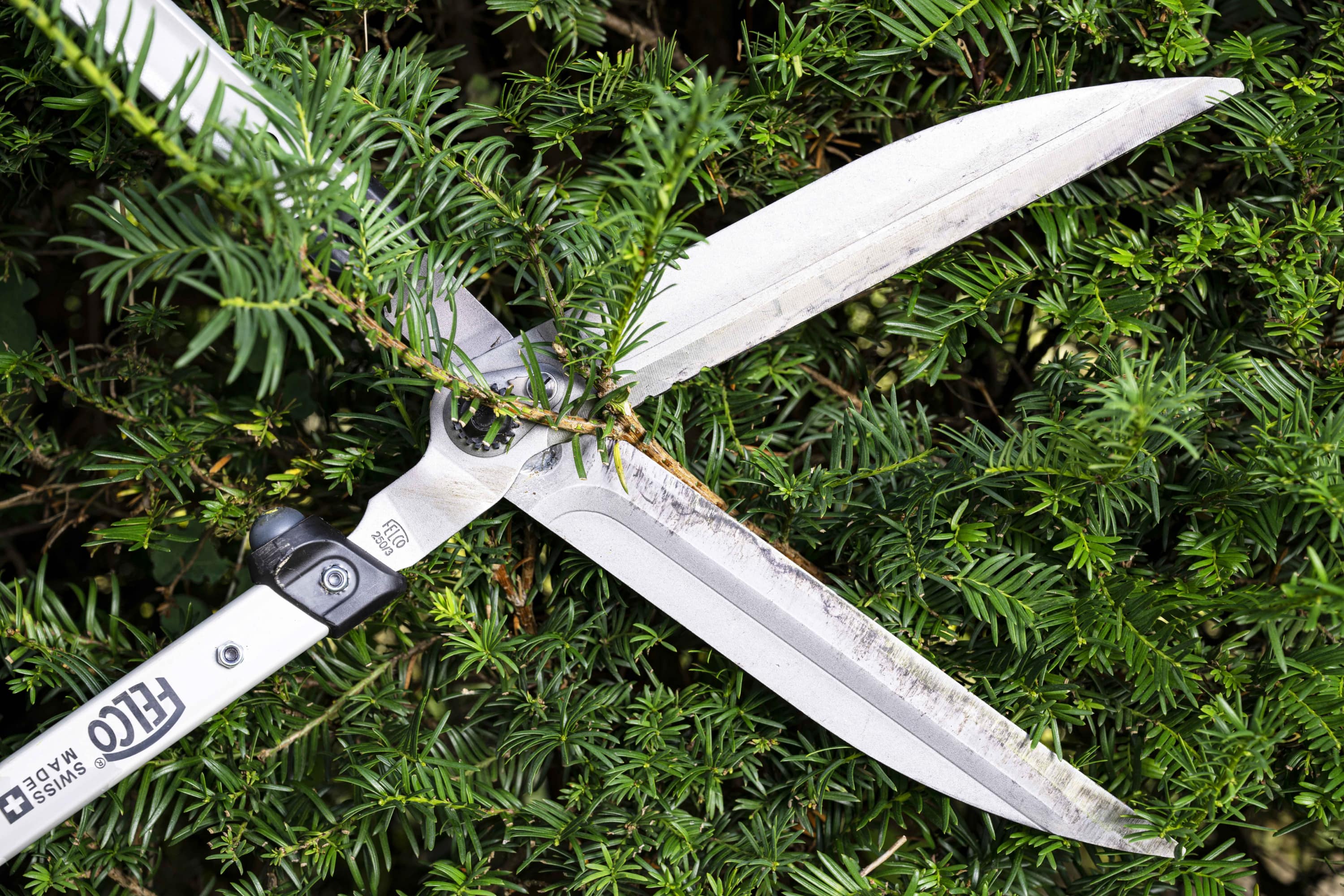 Loppers | Swiss Precision & Ergonomic Tree Pruning Tools – FELCO North ...