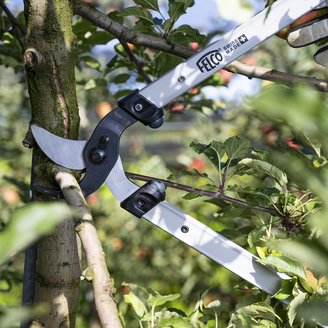 Loppers category FELCO 221-80 – FELCO North America