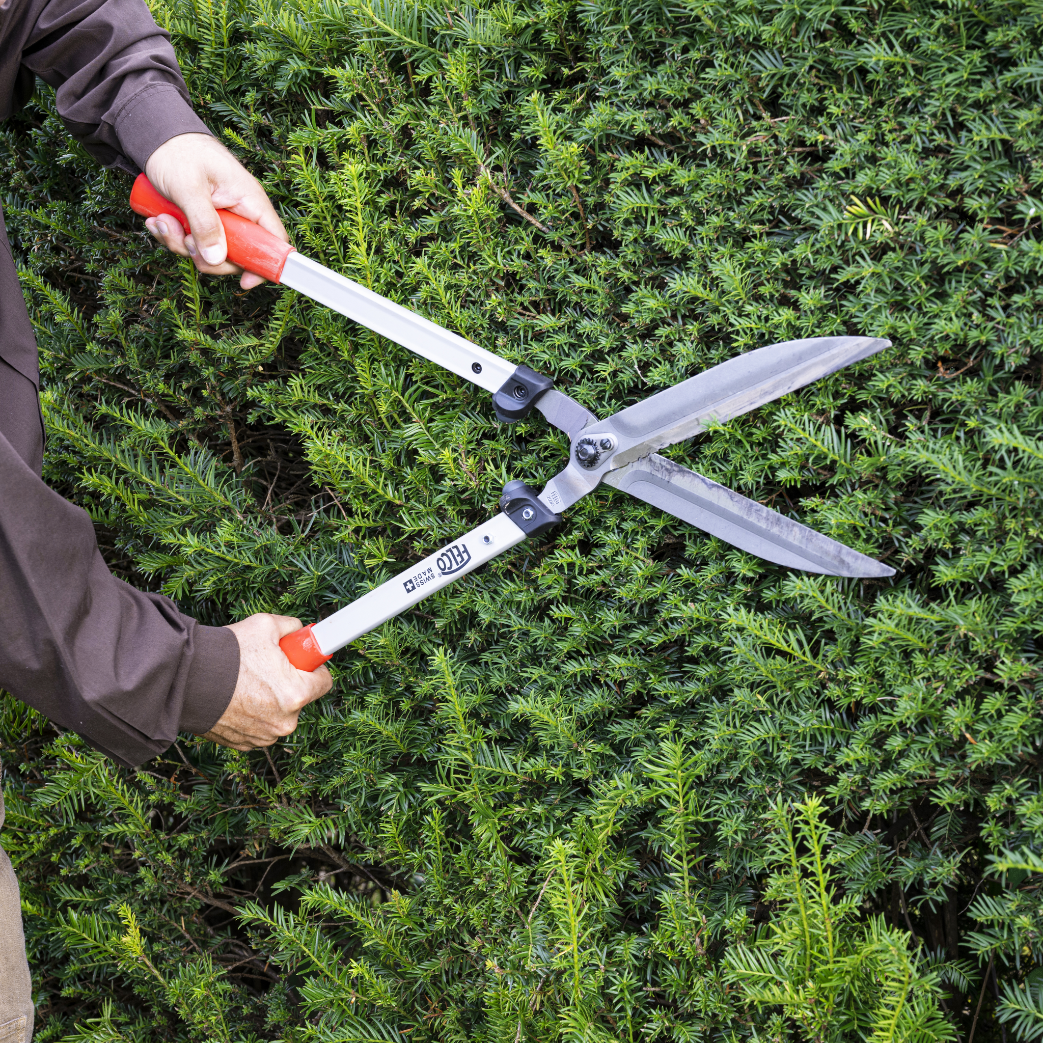 FELCO 250 Hedge Shears