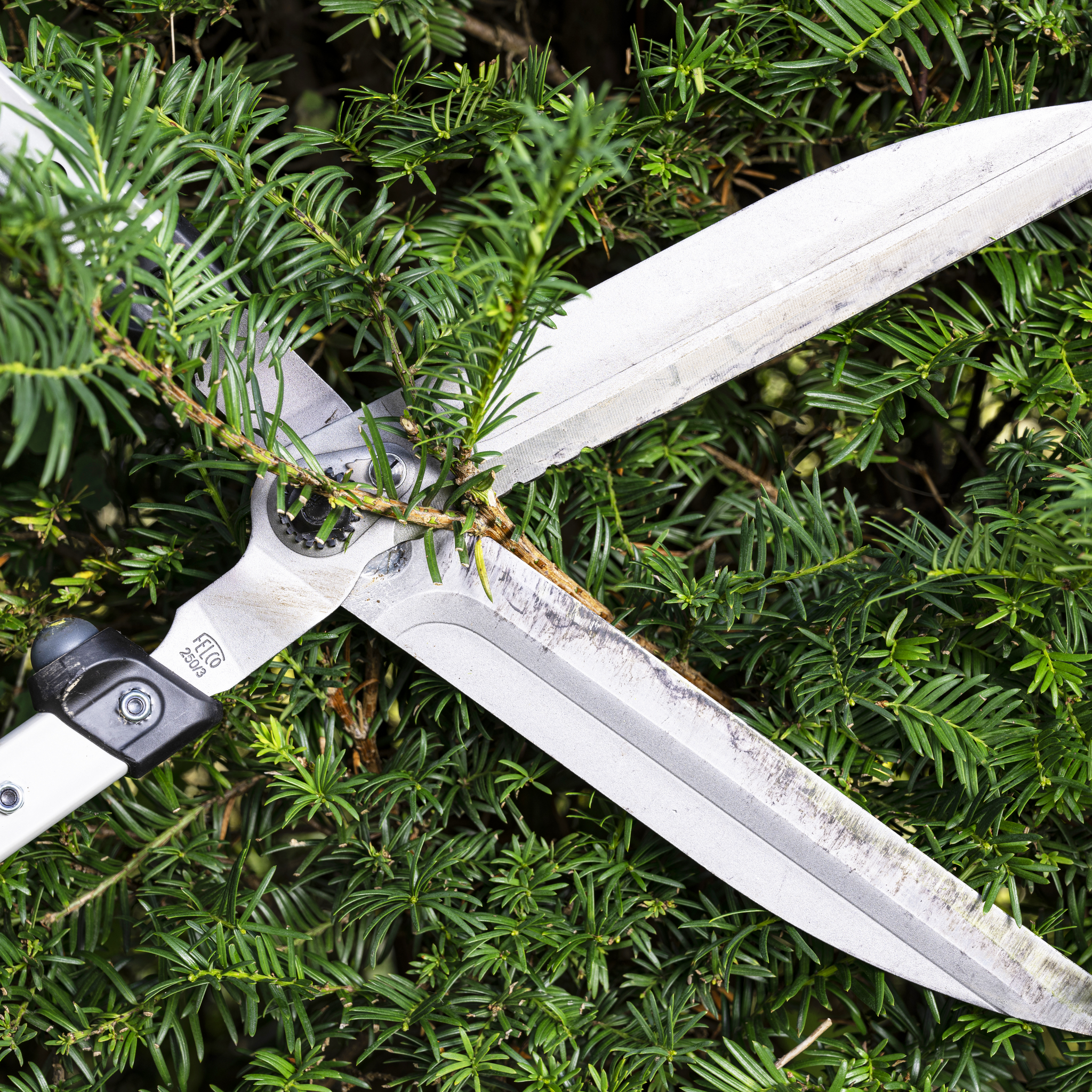 FELCO 250 Hedge Shears - Thumbnail 2