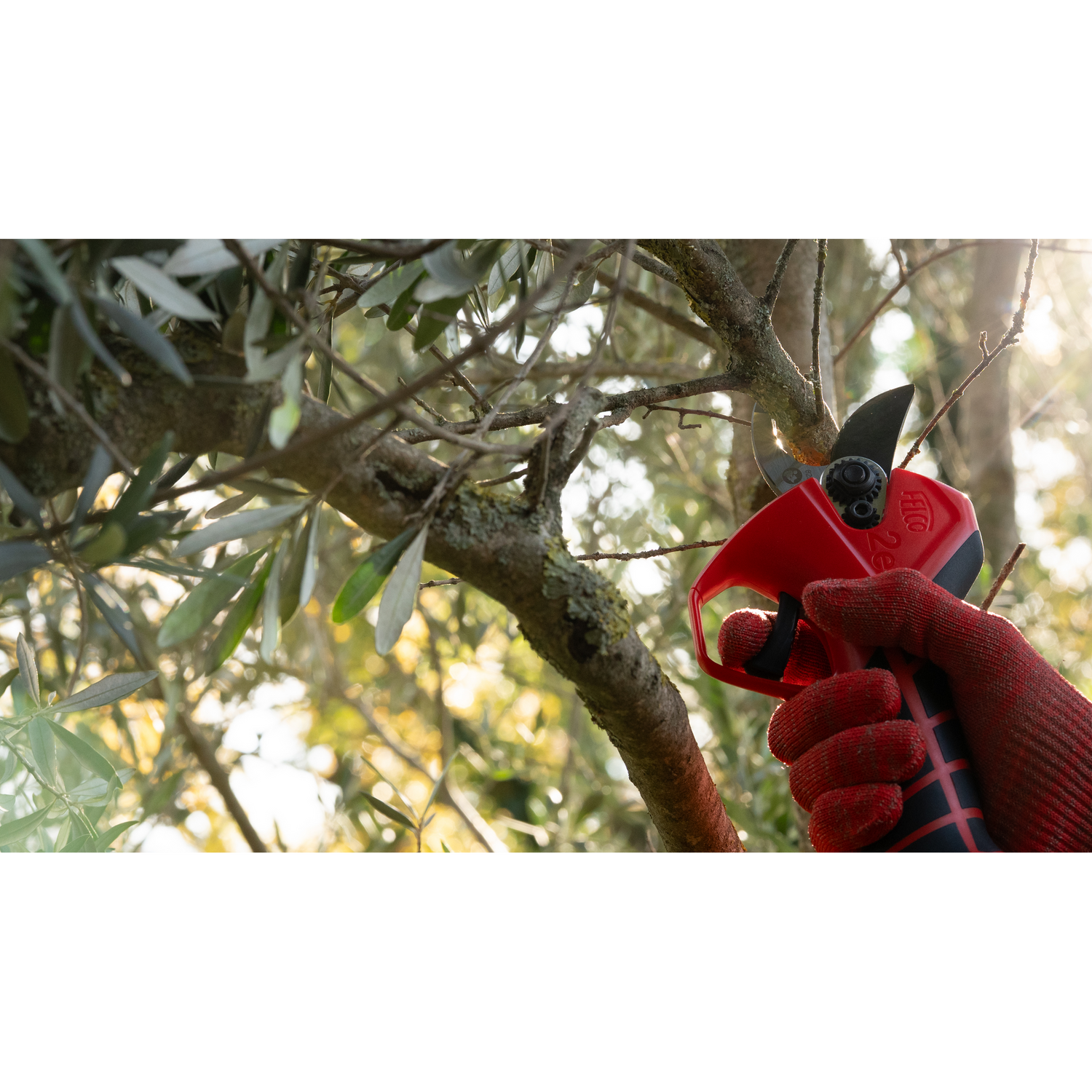 FELCO 2e - Lifestyle - Context/Still