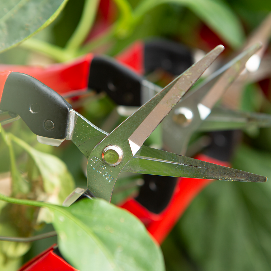 All products – FELCO North America