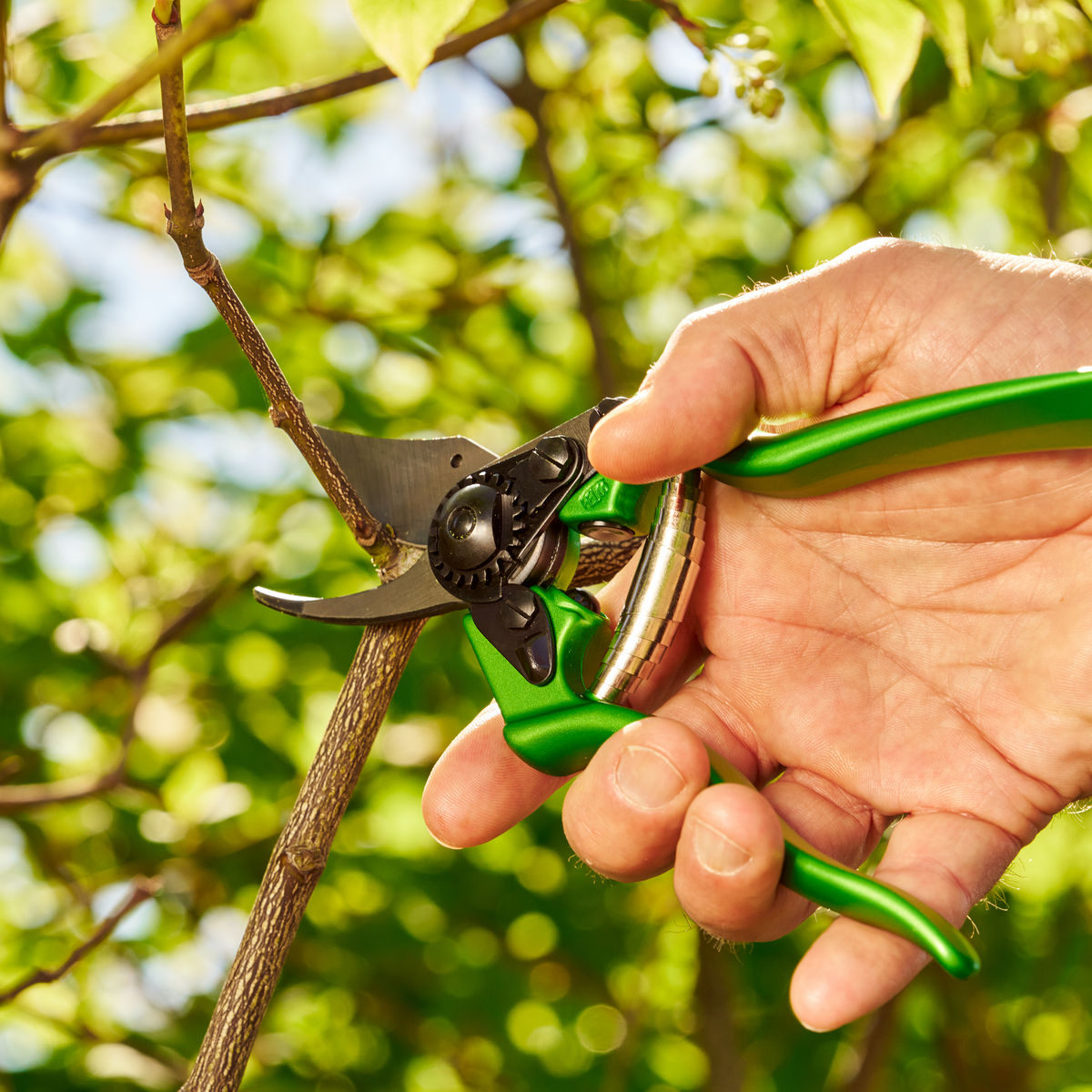 FELCO 6 POWER GREEN - Lifestyle - Context/Still