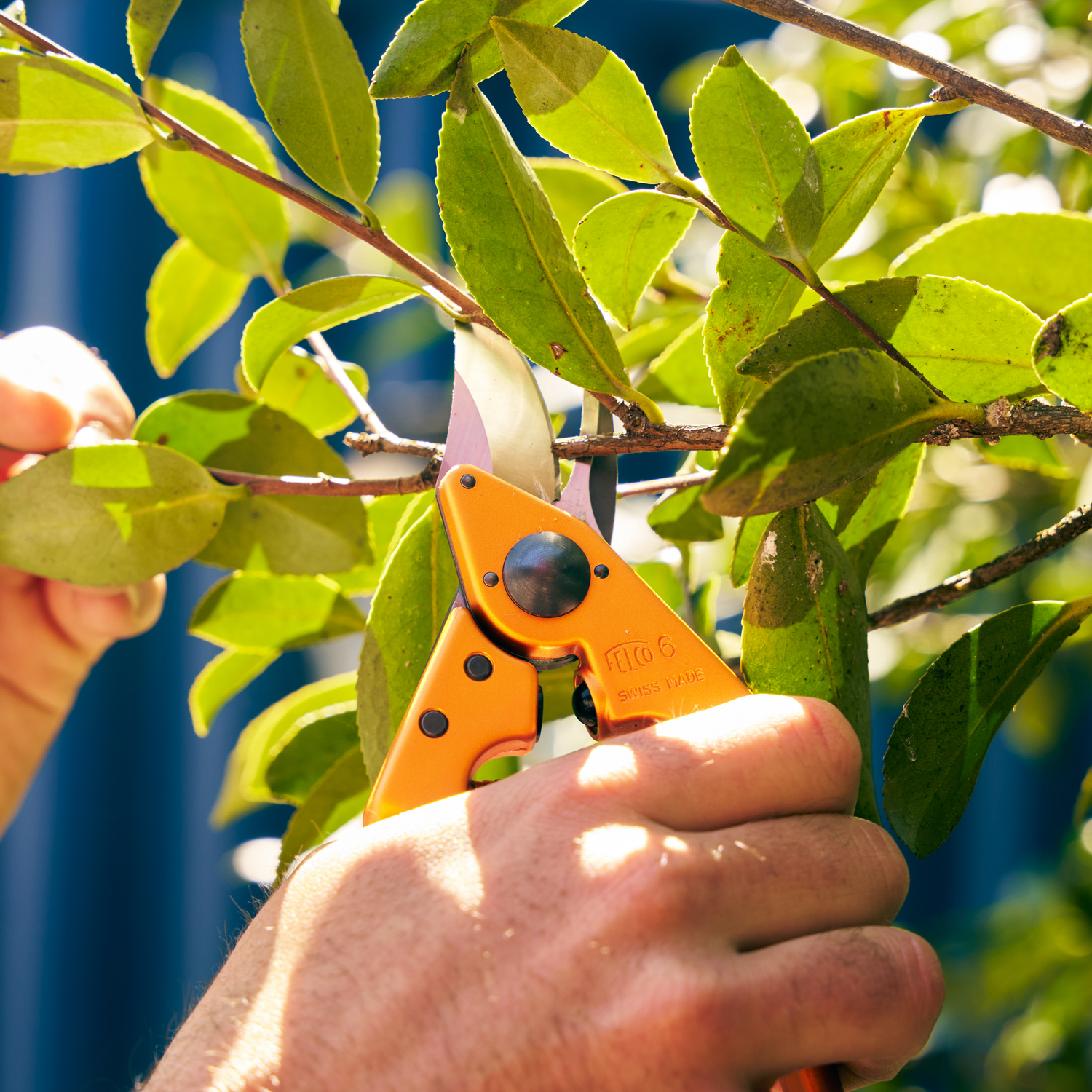 FELCO 6 COLOR EDITION