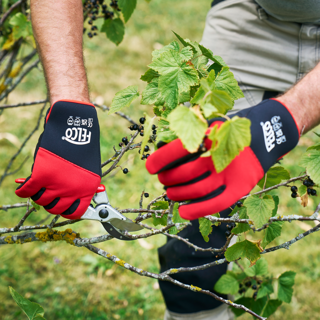 felco gardening gloves FELCO 704XXL Cut resistant Gloves size XXL