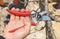 Pruning Shears