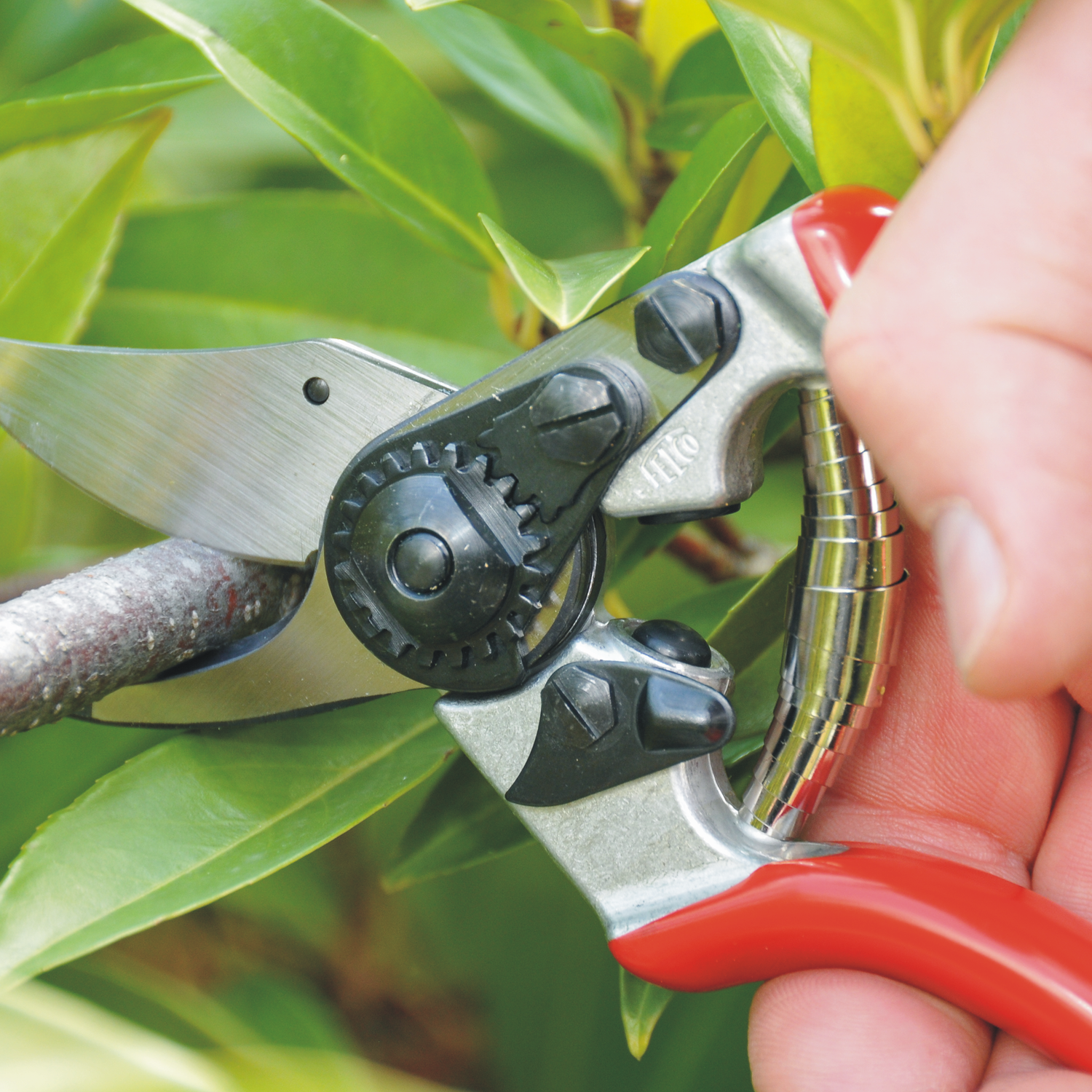 felco garden scissors FELCO 6 Pruner