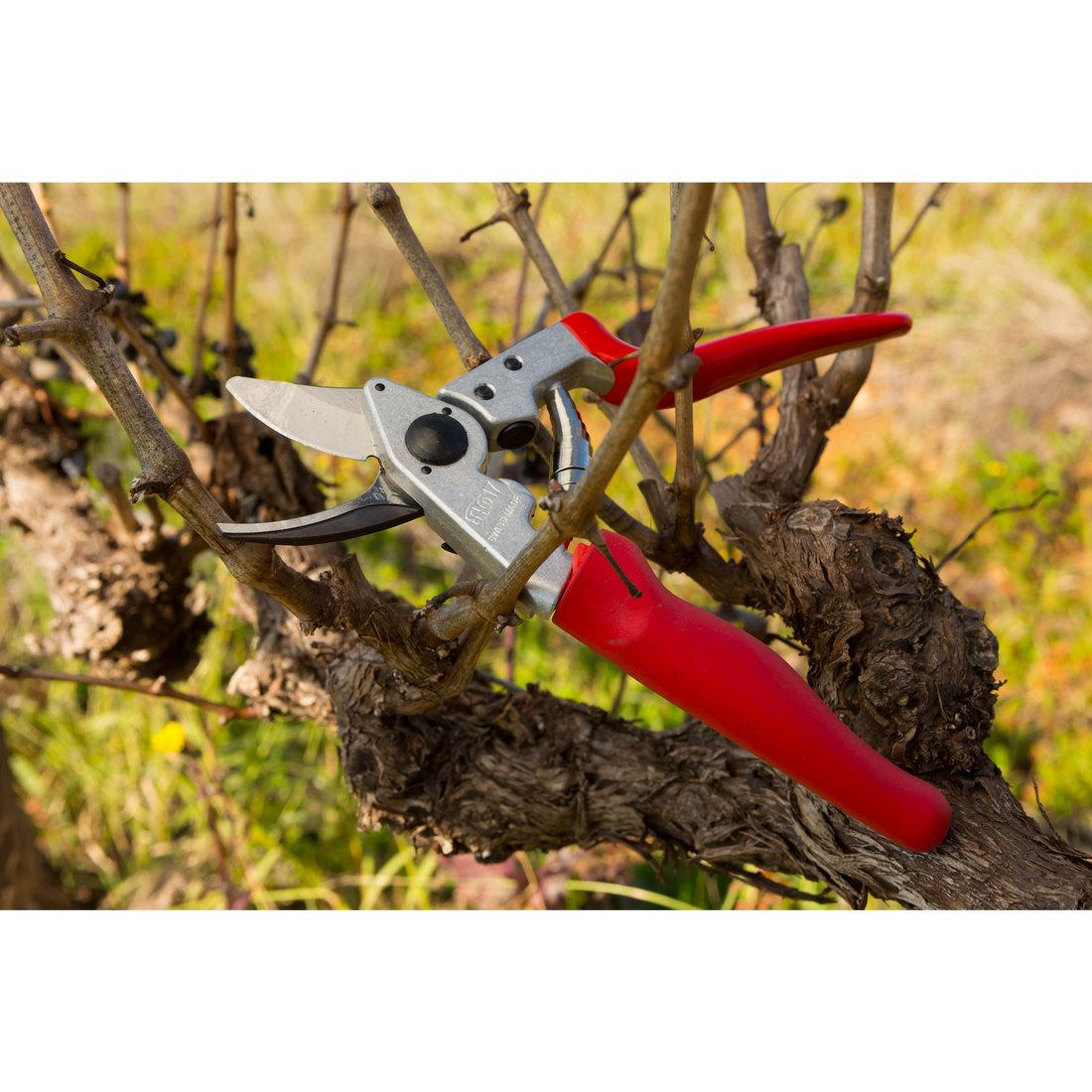 left handed garden scissors FELCO 17 | Medium Left-Handed Pruning Shears