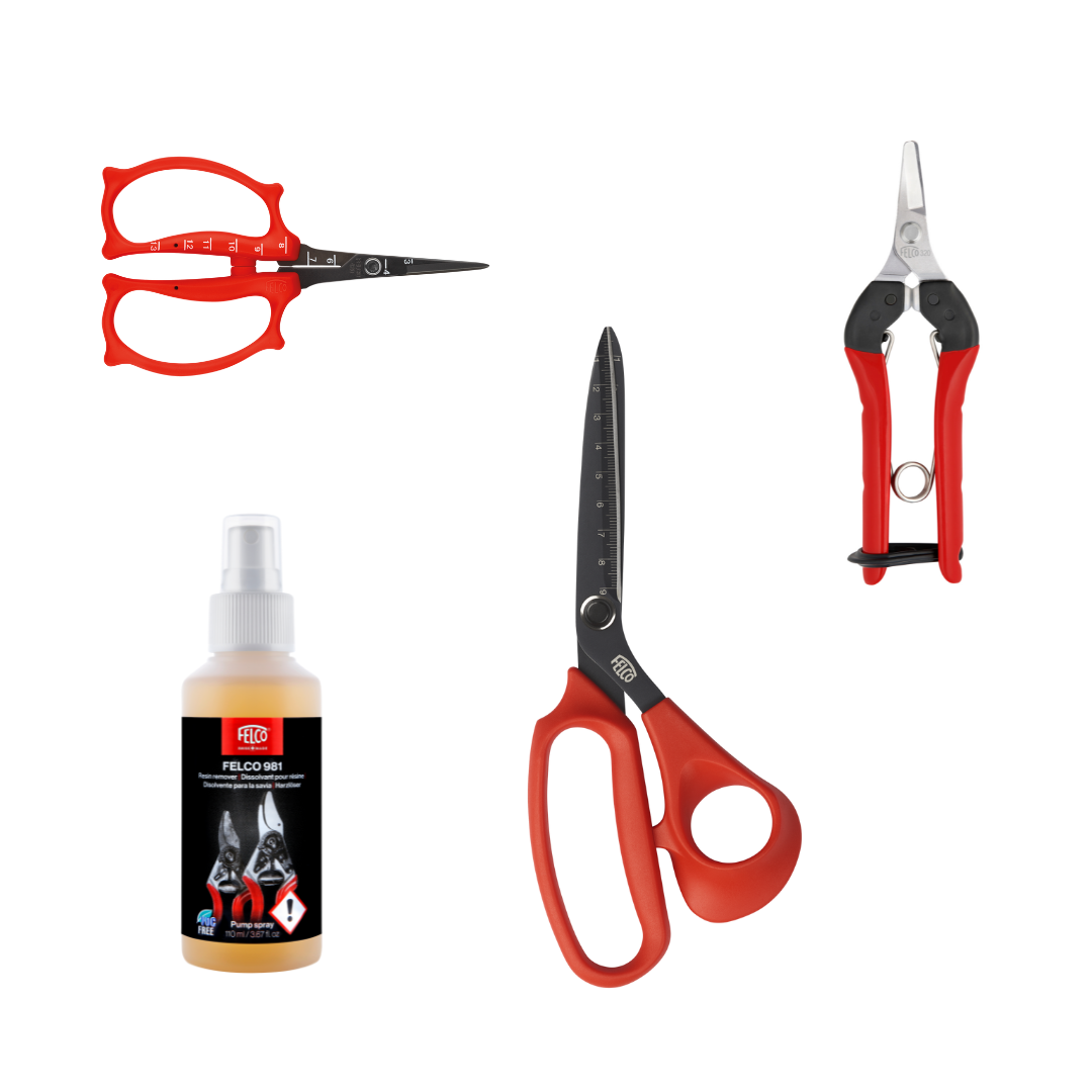 El Kit del Botánico 2